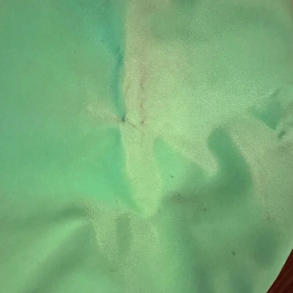 Longchamp Mini Le Pliage in hard to find Mint Green - Picture 4 of 8